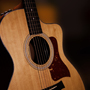 History of the Guitar